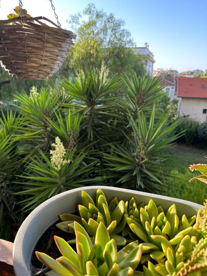 Location De Chambre Privee Dans Residence Prive, Jardins Et Parking Gratuit 1 Min To Tramway Et 9 Min De Centre-Ville, Accessibilite A Plusieurs Transports Nice Exterior photo